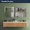 Head West Brushed Nickel Stainless Steel Beveled Accent Vanity Mirror